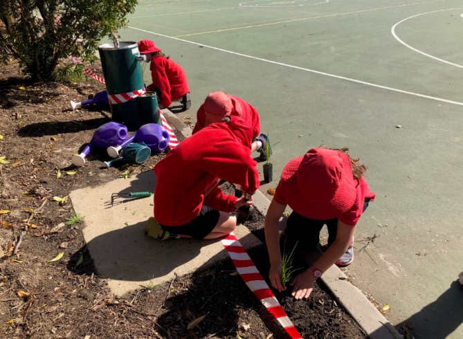 /uploaded_files/media/gallery/1544057823Bio 4.jpg